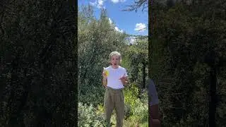 Sourcing Garrigue