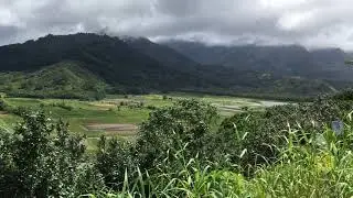 Hanalei valley lookout
