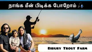 Bibury Trout Farm Fishing | மீன் பண்ணை | Cotswold | Vlog