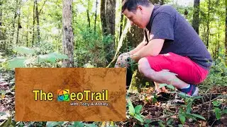 #GCNWThursday-The GeoTrail