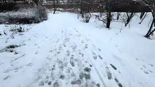 #Whihelminapark Dorpstraat #zoetermeer winter#netherlands  snowfall#shorts  #snowin nederland 