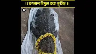 ভগবান বিষ্ণুর ভক্ত কুমির বাবিয়া! | Babia Crocodile Temple Mystery