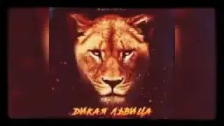 Alex &rus__Ankar aBbuna (wild lioness🦁
