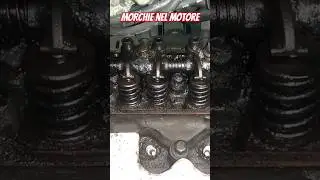 MORCHIE NEL MOTORE FORD KA 1.3 ENDURA E