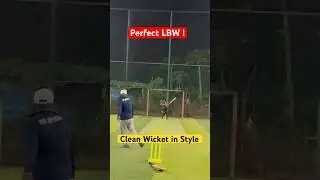 Perfect LBW! Clean Wicket in Style 🏏 | NG Sports Cricket
