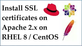 Install SSL Certificates in Apache 2.x (httpd) on RHEL 8 / CentOS