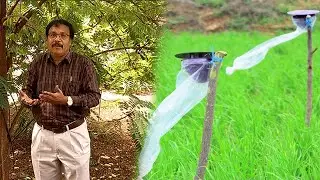 பயிர்களுக்கு தீமை விளைவிக்கும் பூச்சிகளை விரட்டும் முறைகள் | How to trap pests | Malarum Bhoomi