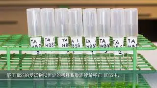 The 3T3 Neutral Red Uptake Phototoxicity Test with Chinese Subtitles