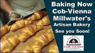 Bakery Cob Vienna