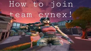# cynex on top How to join team Cynex