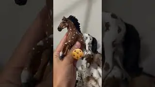 Which one did you get!?🥰🥰 #trend #shorts #horse #schleich #schleichhorse
