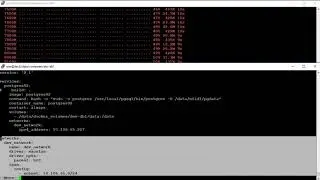 Как запустить PostgreSQL в Docker образе Centos 7