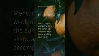 Mentorship: Empowering Your Vision with Wisdom | Seed Gallery #quotes #knowledge #mentor #shorts