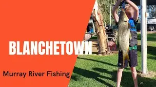 Blanchetown Big 4 Caravanpark Fishing