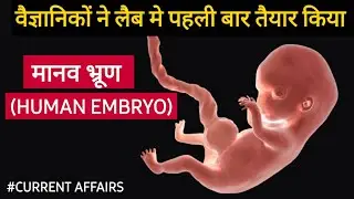 HUMAN EMBRYO - LIKE MODEL CREATED FROM HUMAN STEM CELLS IN LAB|&lrm; &lrm;मानव भ्रूण| UPSC CURRENT AFFAIRS