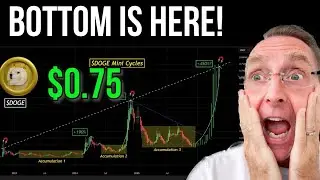 СРОЧНЫЕ НОВОСТИ: DOGECOIN И КРИПТОВАЛЮТА ДОСТИГЛИ ДНА? СКОРО ЛИ DOGE ДО $0,75?
