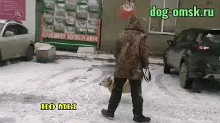 Итоги дня 27.11.2025