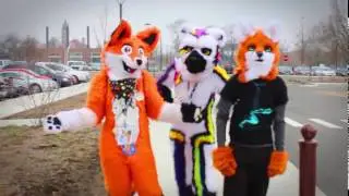 You Fursuited at the Wrong Convention - Animarathon 2017