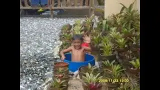 PANSIAN,PAGUDPUD...OPENA FAMILY