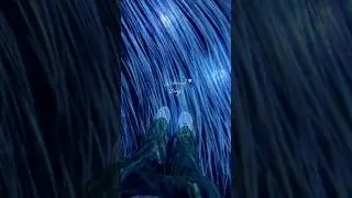 teamLab Borderless: MORI Building DIGITAL ART MUSEUM