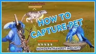 HOW TO CAPTURE PET | CHIMERALAND