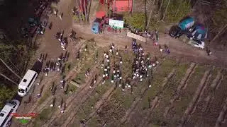 Наш Лес. Посади свое дерево.
