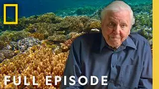 Ocean with David Attenborough (Full Documentary) | World Ocean Day Special | National Geographic