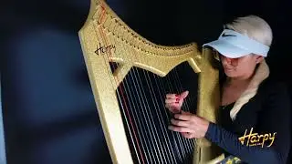 Harp for Sale - Arpa a a la Venta (Harpy 33 strings)