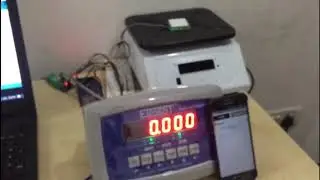 UHF RFID Smart Weighing Scale