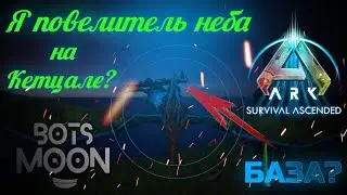 ОТ ЗЕМЛИ ДО НЕБЕС! СОЛО на ОФИЦИАЛЬНОМ сервере SmallTribe