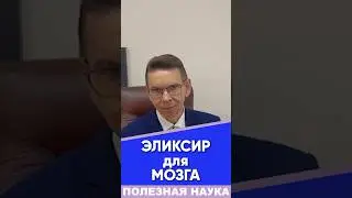 ЭЛИКСИР для МОЗГА #мозг #молодость #память