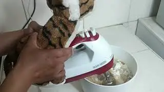 QUEQUE CASERO - TIGRI Y SUS AMIGOS