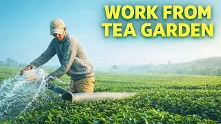 Work from tea Garden 🥰