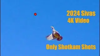 Keklik Avı Shotkam Shots/ Partridge hunting/ شکار کبک / chasse à la perdrix/ лов на яребици
