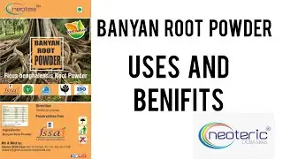 Neotea Natural Banyan Root Powder | Bargad Jad | Marri Udala | Banyan Tree