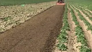 Cu tractorul la frezat