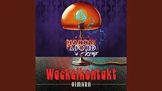 Wackelkontakt (Harris & Ford Remix)