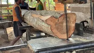 Watch the Wood Cutting Process 5x10 with a Sophisticated Sawmill Machine