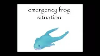 EMERGENCY FROG SITUATION‼️‼️‼️