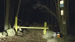 Scout Leader Attacked By Bear