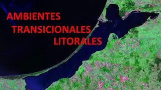 Ambientes transicionales Litorales y costeros