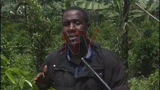 African farmers embrace climate-smart technologies