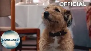 Absolutely Anything - Clip 