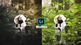 Cara edit filter cahaya lightroom premium