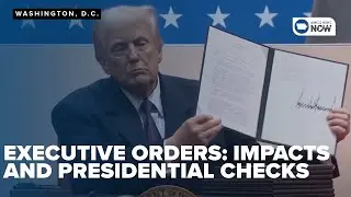 Understanding executive orders: impacts on citizens and checks on presidential power