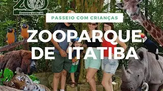 Zooparque Itatiba: O zoológico de São Paulo mais incrível do Brasil #zoo #zoologico