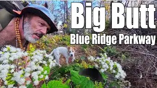 Checking Out Butts on the Blue Ridge Parkway's - Asheville, NC