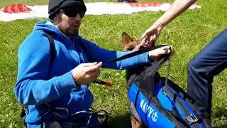 Flugsau Gleitschirm Hundegurtzeug Modelle: 17-40Kg Instruktion