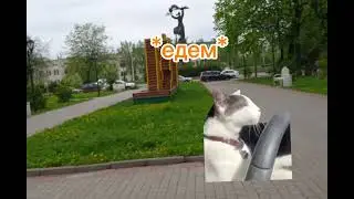 семейный день!!!!!