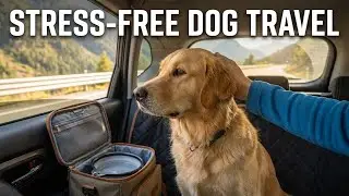 Top Pet-Friendly Vacation Spots in the U.S. for 2025